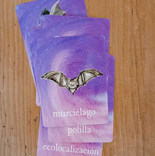Small cards with bat illustrations stacked on a wooden table
