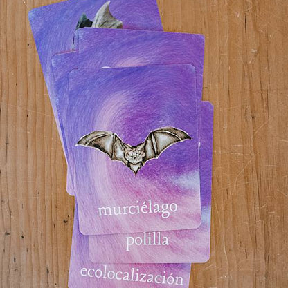 Small cards with bat illustrations stacked on a wooden table