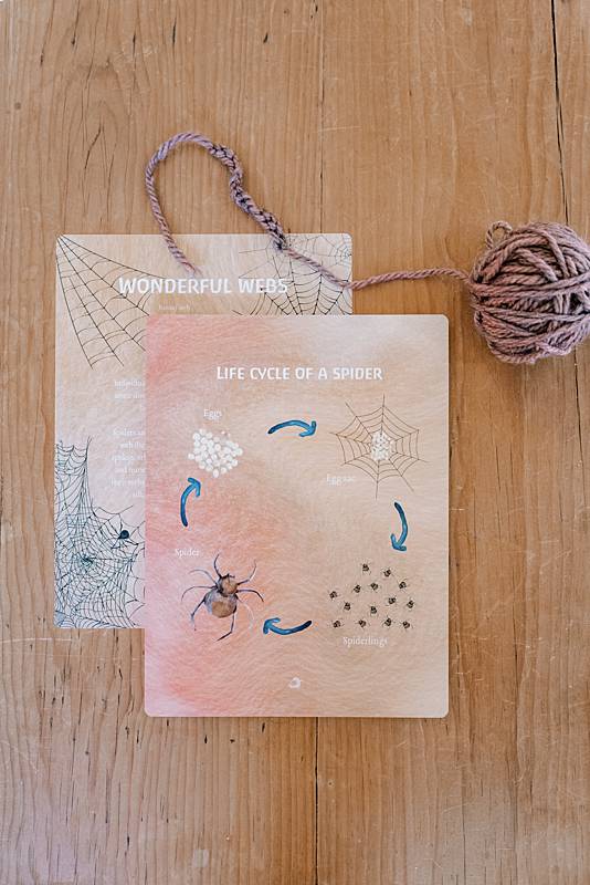 Cards surrounded by a ball of yarn