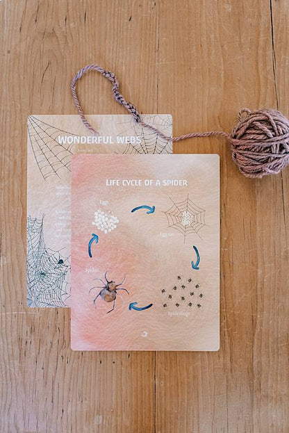 Cards surrounded by a ball of yarn