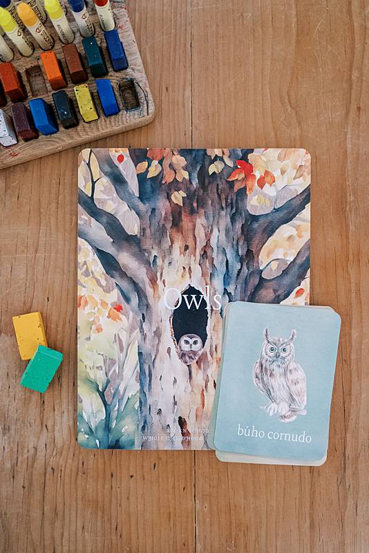 Cards with wax crayons and illustrations of owls