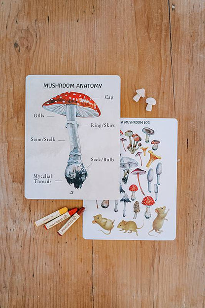 Two cards on a table with wooden toy mushrooms