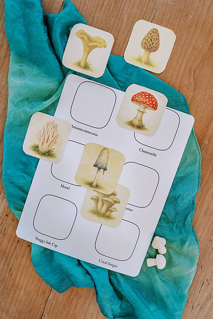 Cards on a silk with a sheet of paper