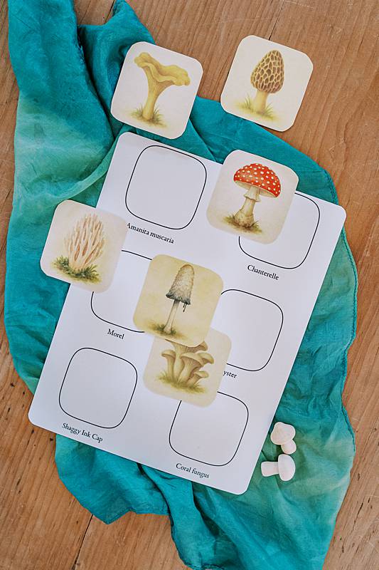 Cards on a silk with a sheet of paper
