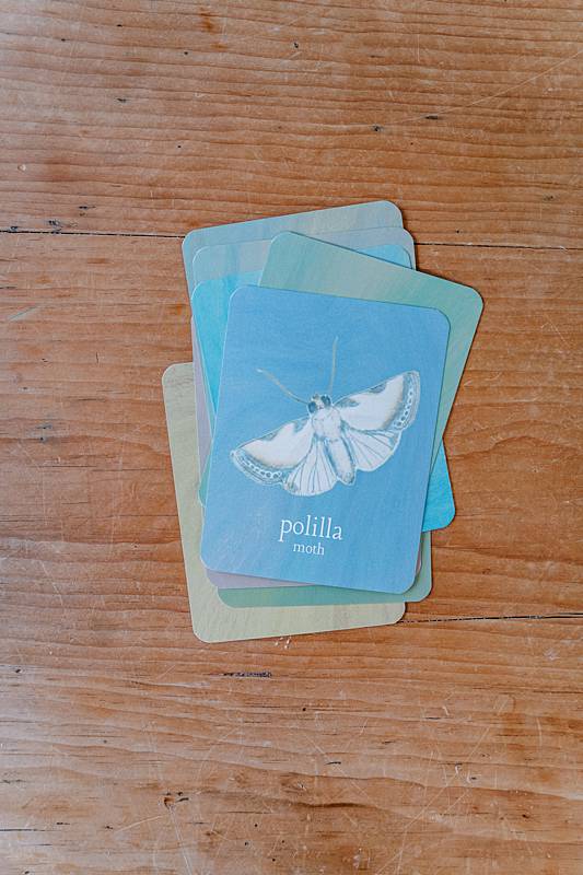 small cards on a table