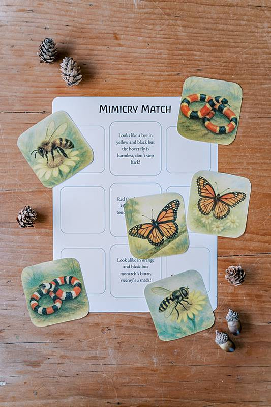 piece of paper with small cards and pincecones
