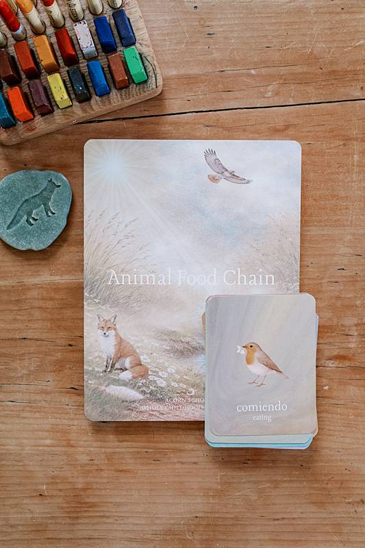 Cards with fox and bird illustration on a table