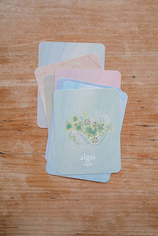 Set of small cards on a table with algas illustration