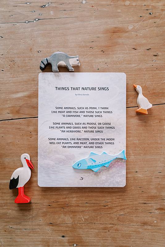Paper surrounded by wooden toys