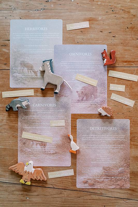 Various pieces of paper with wooden toys surrounding them