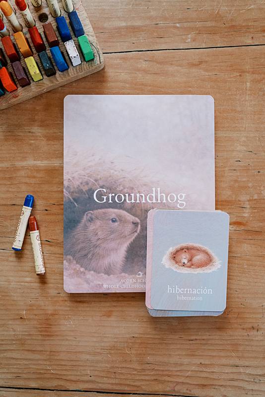 Image of a groundhog on a large paper with small cards stacked on top