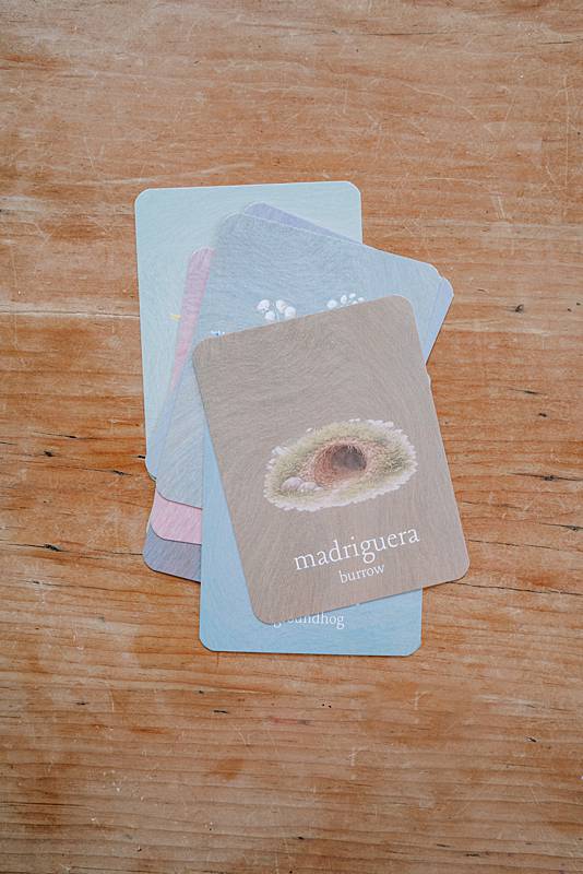Small cards with illustrations on a wooden table