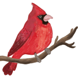 A Cardinal icon.