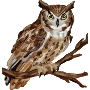 An owl class icon.