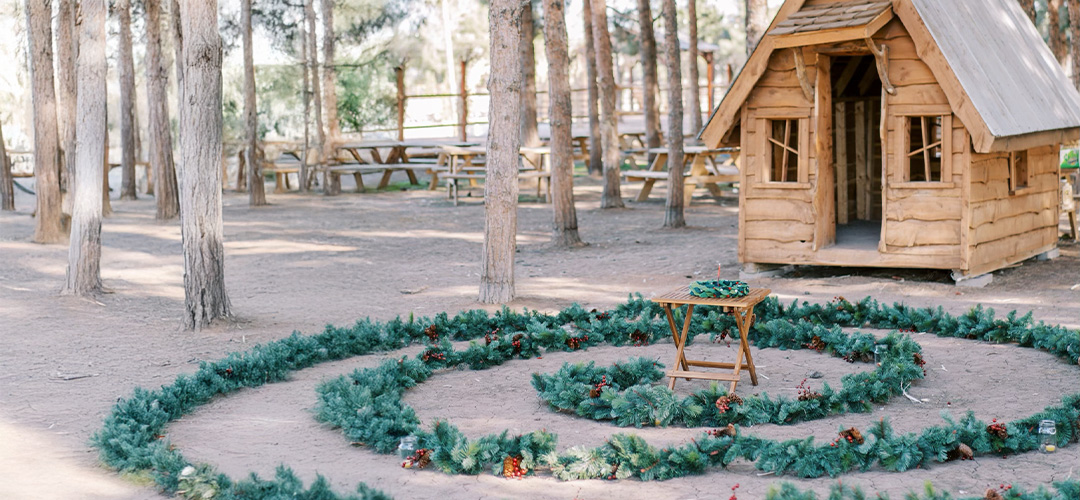 image of plants on the ground in a spiral with a play wooden house in the background