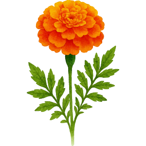Little Marigolds class icon.