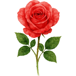 Little Roses class icon.